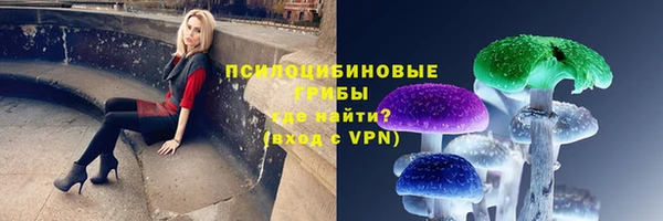 тгк Бугульма
